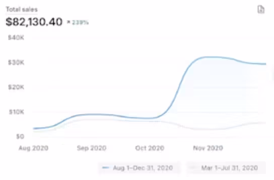DEVNET Meta Ads campaign result 1